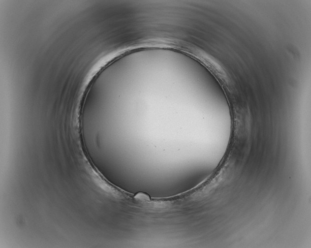 X0000115681192200911121239