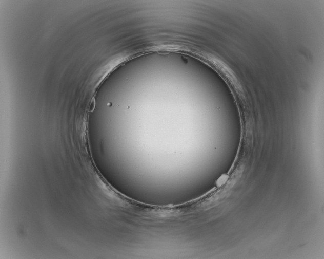 X0000115681193200911121239