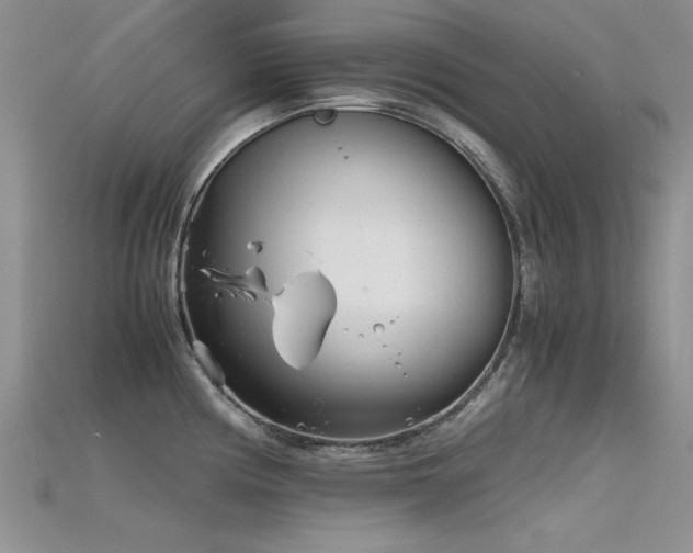 X0000115681194200911121239