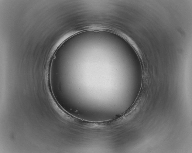 X0000115681195200911121239