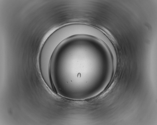 X0000115681196200911121239