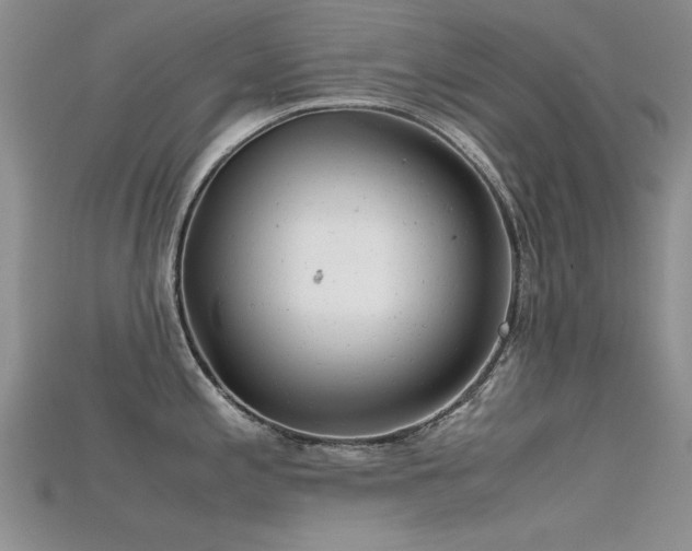 X0000115681197200911121239