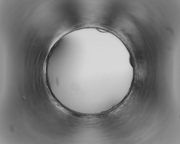 X0000115681198200911121239