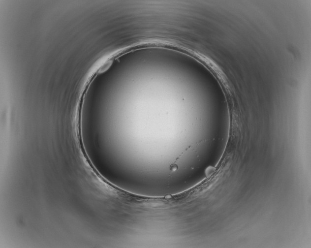 X0000115681199200911121239