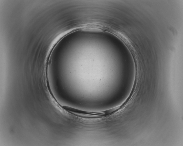 X0000115681200200911121239