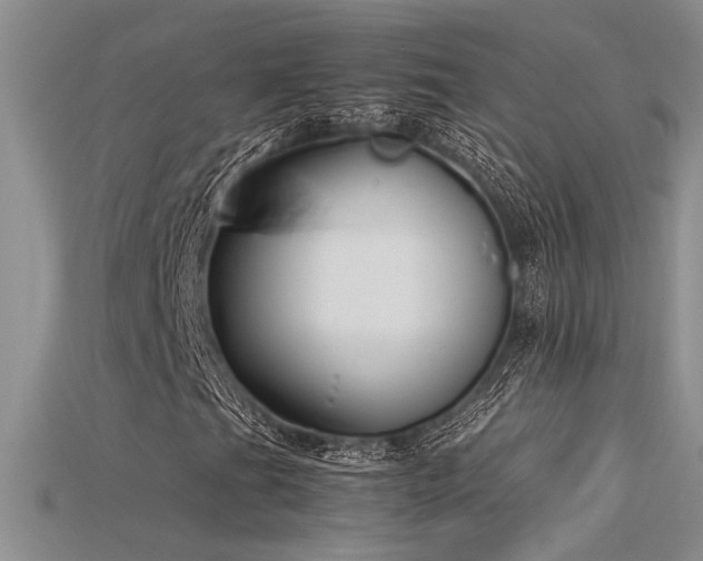 X0000115681201200911121238