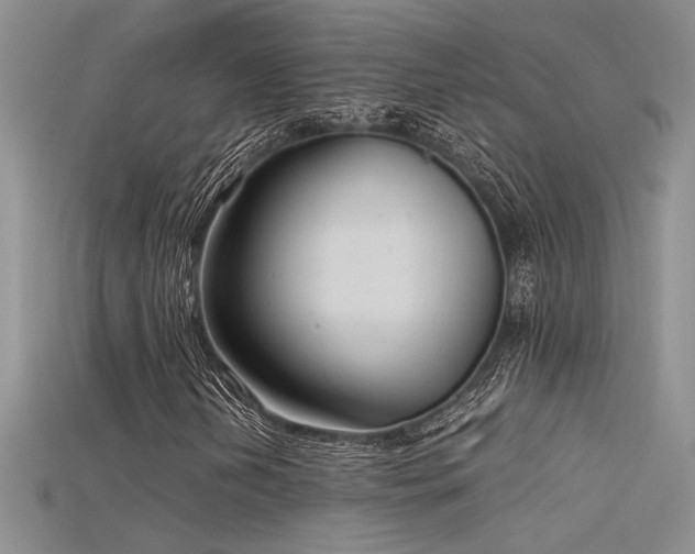 X0000115681202200911121238