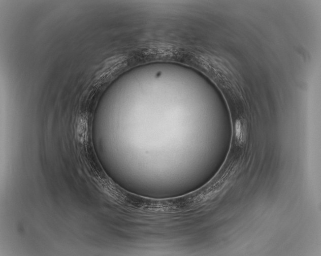 X0000115681203200911121238