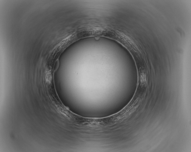 X0000115681204200911121238