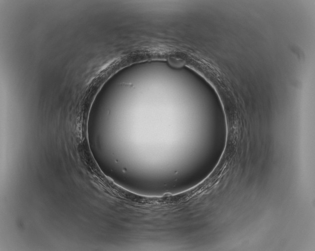 X0000115681205200911121238