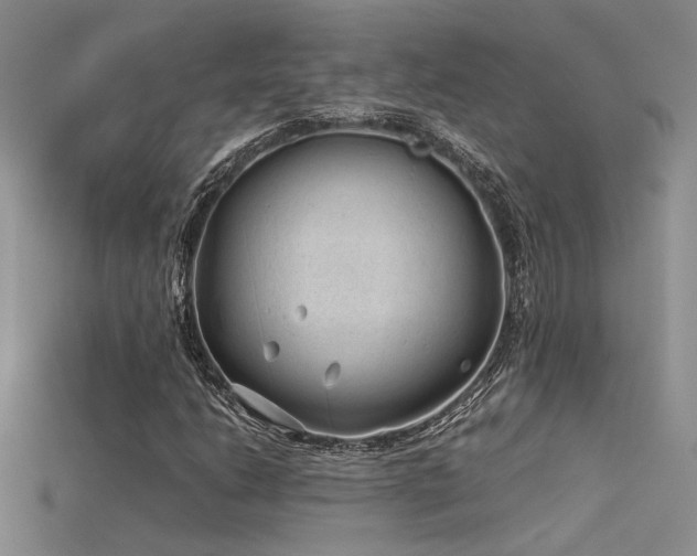 X0000115681206200911121238