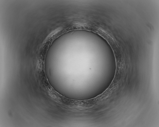 X0000115681207200911121238