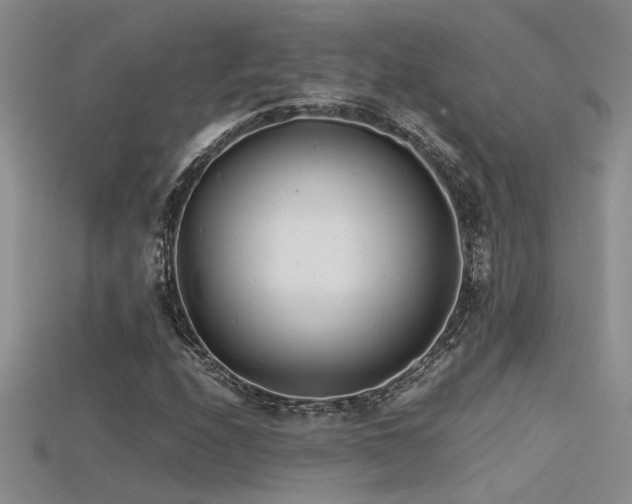 X0000115681208200911121238