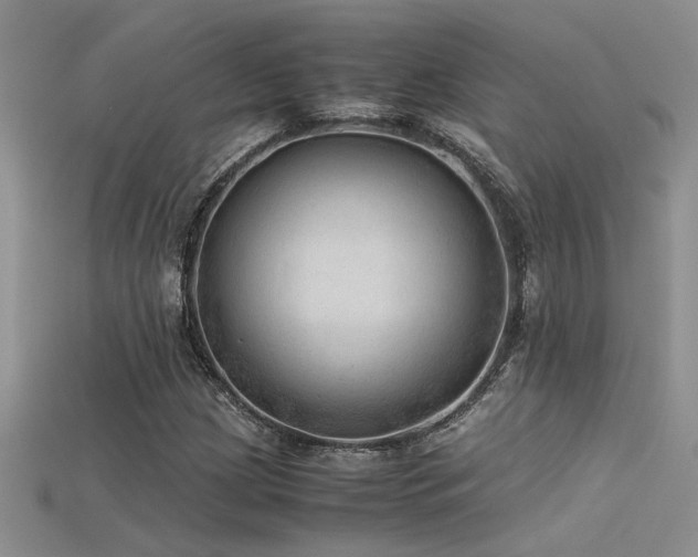 X0000115681209200911121238