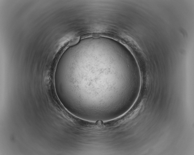 X0000115681210200911121239