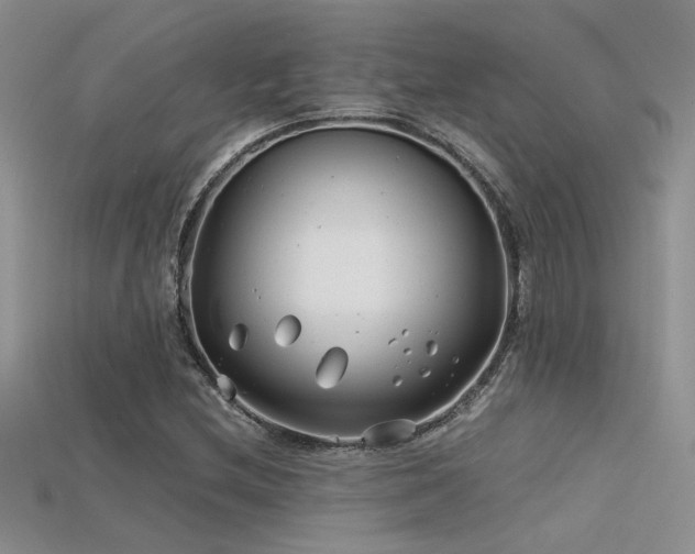 X0000115681212200911121239