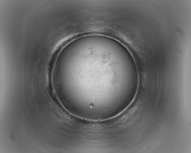 X0000115681214200911121239