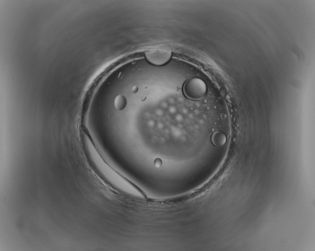 X0000115681216200911121239