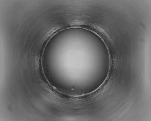 X0000115681217200911121239