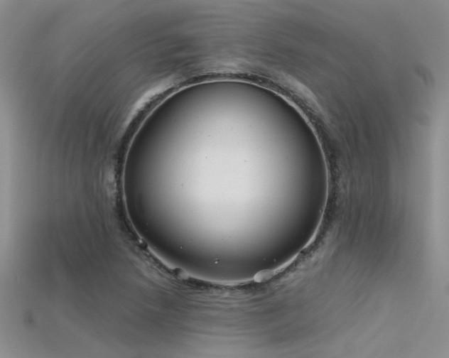 X0000115681218200911121239