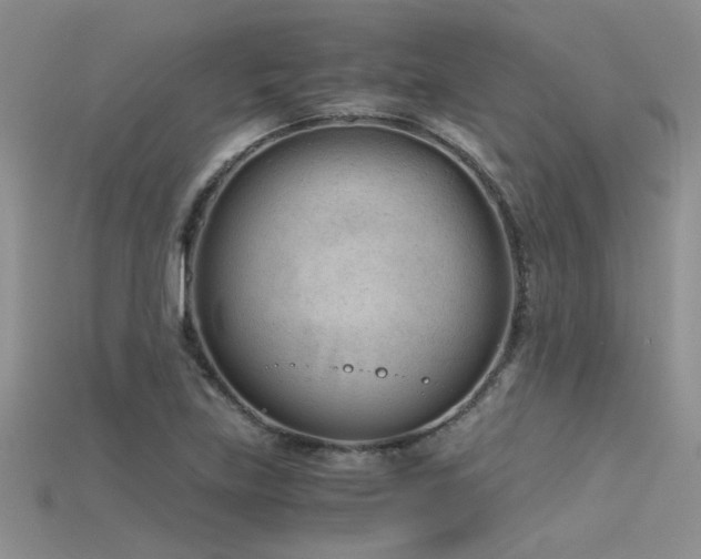 X0000115681219200911121239