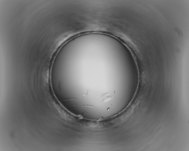 X0000115681220200911121239