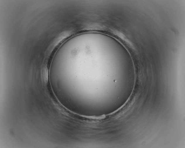 X0000115681221200911121239