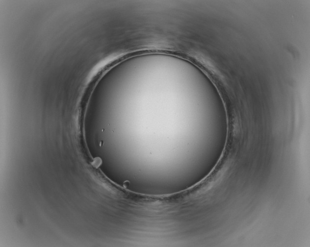 X0000115681222200911121239