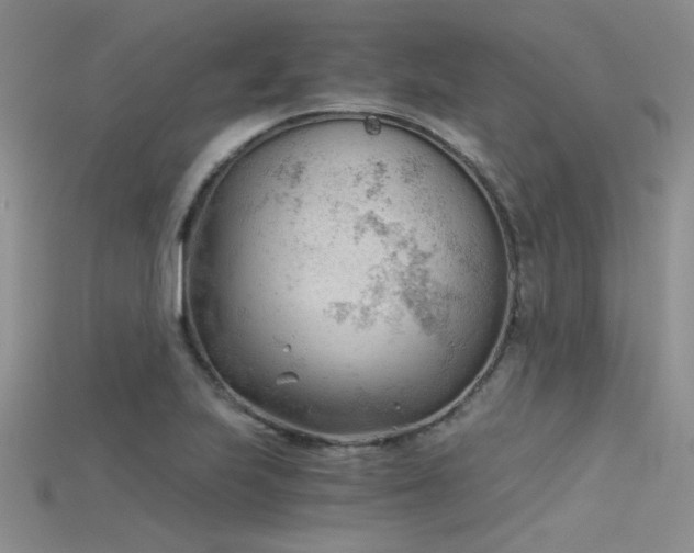 X0000115681223200911121239