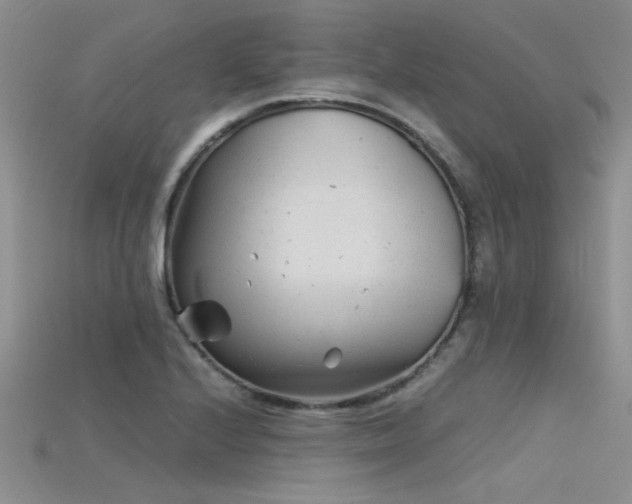 X0000115681224200911121239