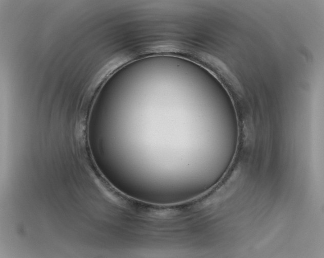 X0000115681225200911121239