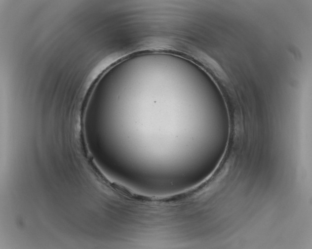 X0000115681226200911121239