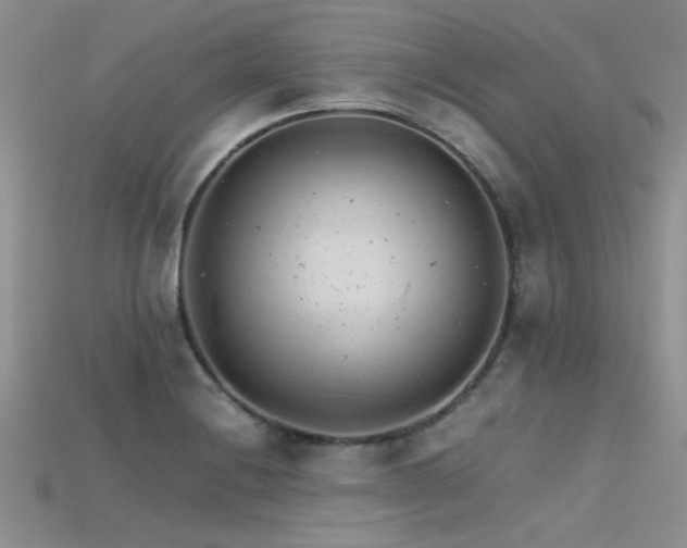 X0000115681228200911121239