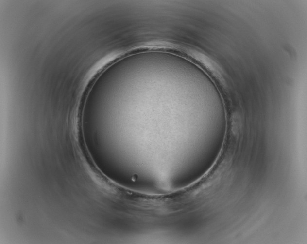 X0000115681229200911121239