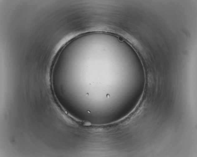 X0000115681230200911121239