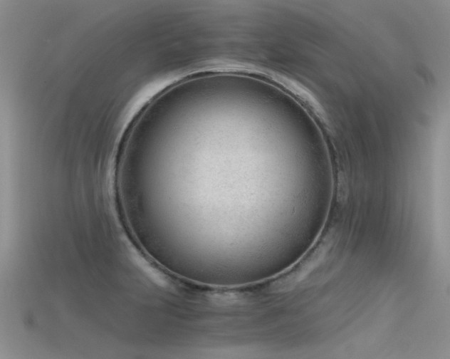 X0000115681231200911121239