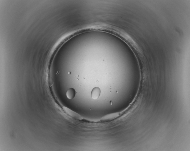 X0000115681232200911121239