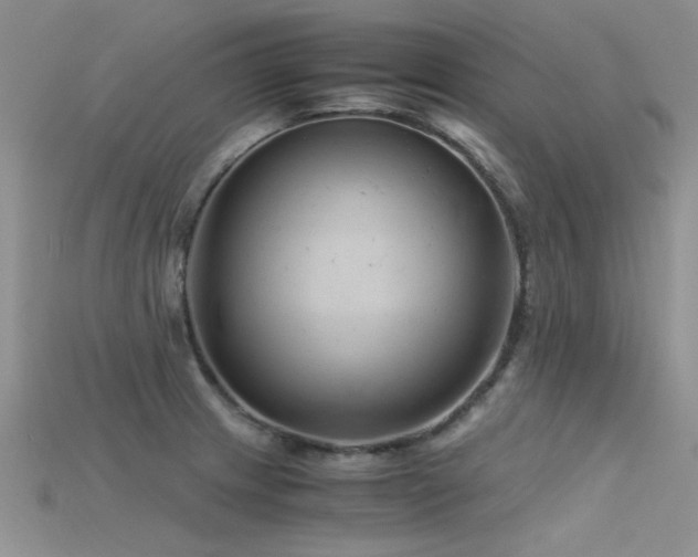 X0000115681233200911121239