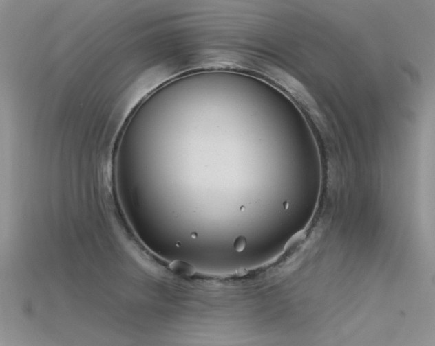 X0000115681234200911121239