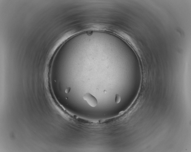 X0000115681235200911121239