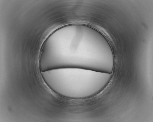 X0000115681236200911121239