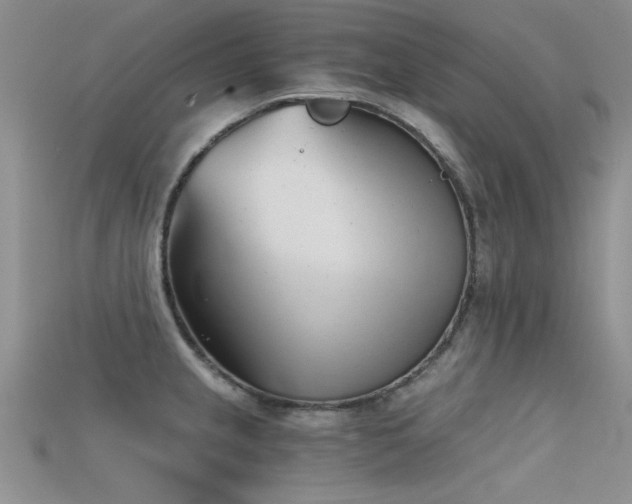 X0000115681237200911121239