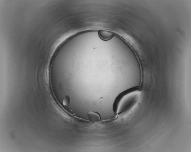 X0000115681238200911121239