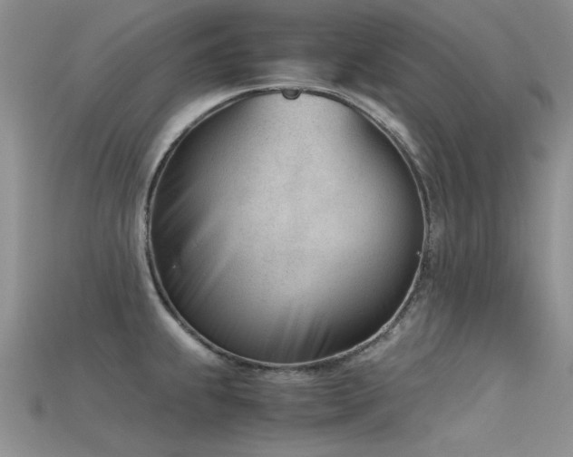 X0000115681239200911121239