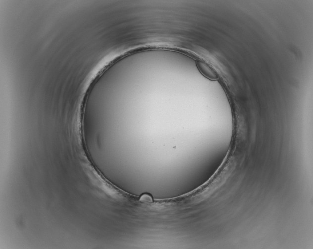 X0000115681240200911121239