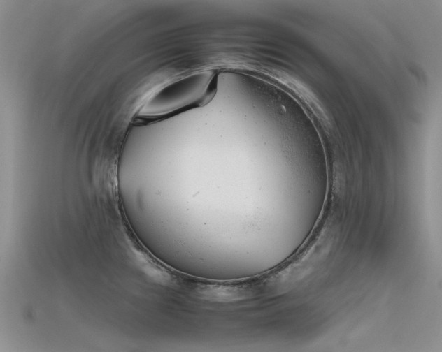 X0000115681241200911121239