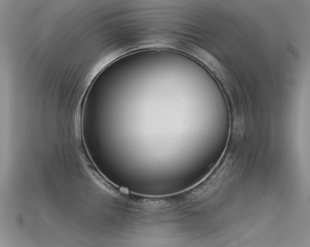 X0000115681242200911121239