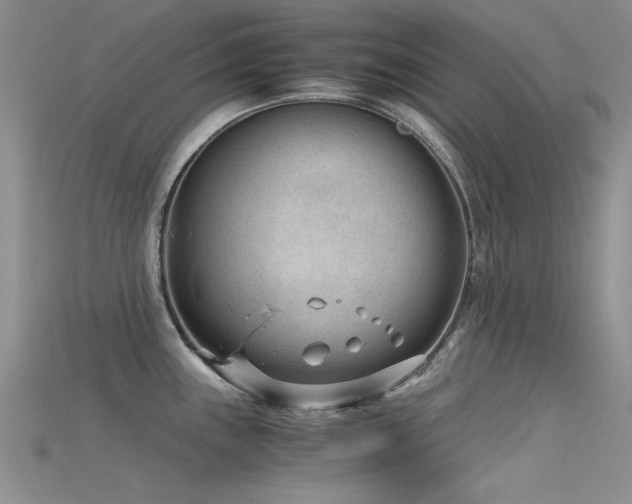 X0000115681243200911121239