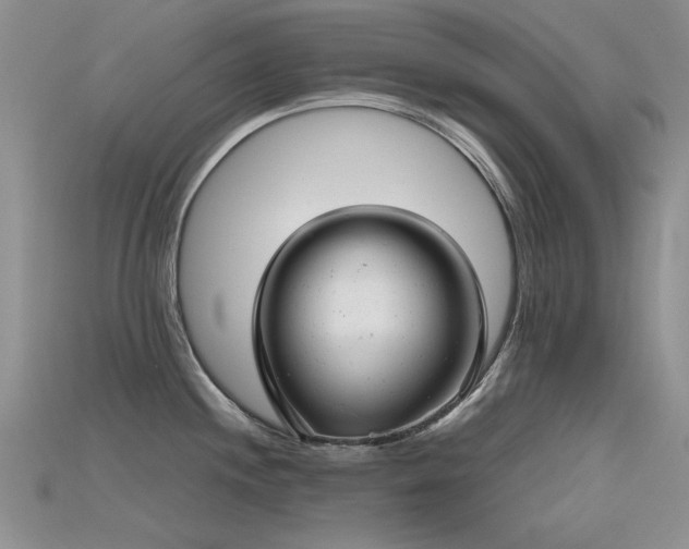 X0000115681244200911121239