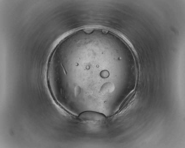 X0000115681245200911121239